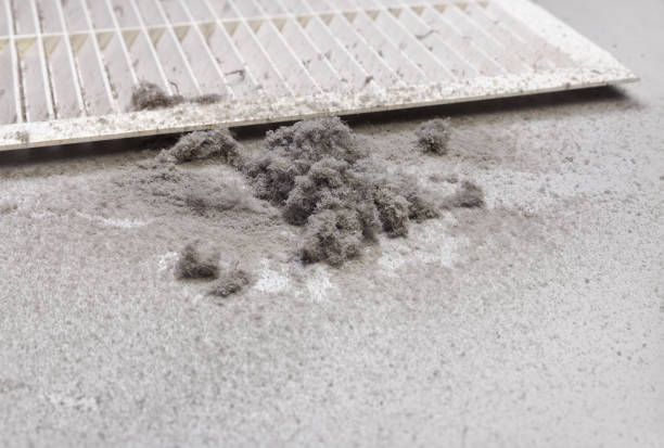 Best HVAC Duct Inspection Services  in Carolina Shores, NC