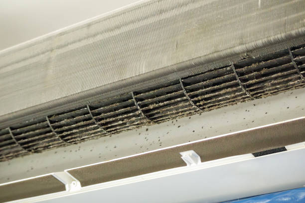 Best HVAC Duct Inspection Services  in Carolina Shores, NC